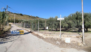 Terreno agricolo attivato ad uliveto esteso 17.500 metri quadri circa in vendita a Casteldaccia (PA) 